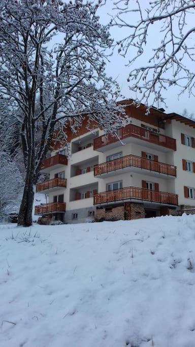 Casa Vidi